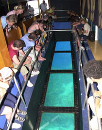 The Glass Bottom Boat